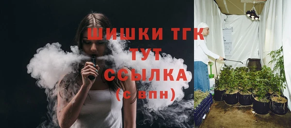 крисы Няндома