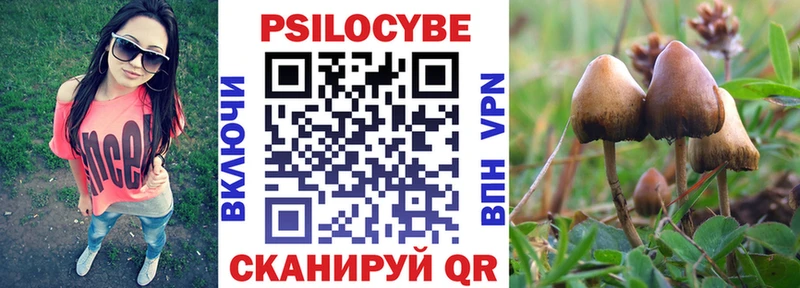 Галлюциногенные грибы Psilocybine cubensis  Кувандык 
