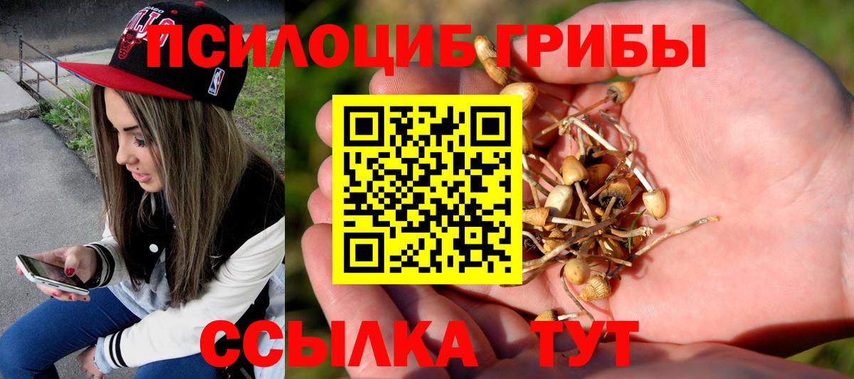 Кувандык  Псилоцибиновые грибы мухоморы  Вход с VPN  Галлюциногенные грибы Magic Shrooms 